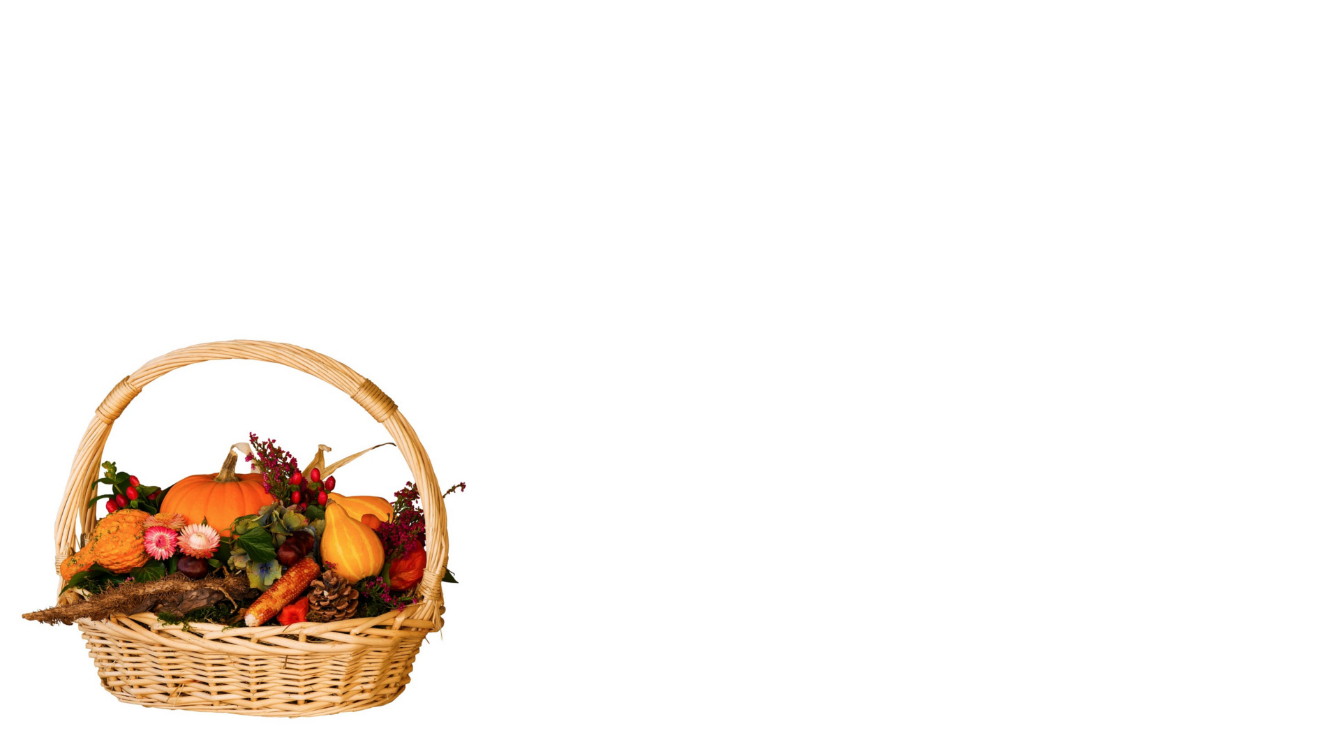 Place card photo of a wicker harvest basket with pumpkins and gourds