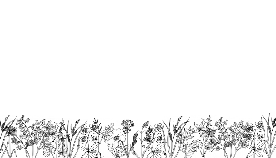 Place card with black ink wildflower line drawings along the bottom edge