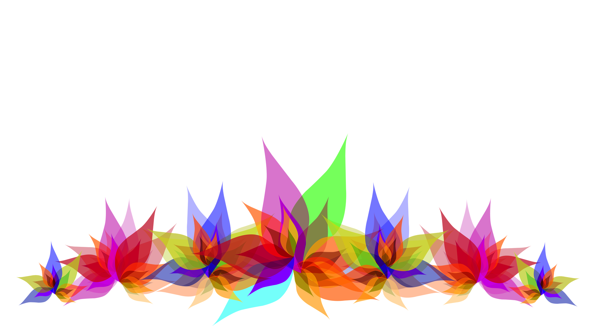 Place card with translucent rainbow lotus-style petals along the bottom edge