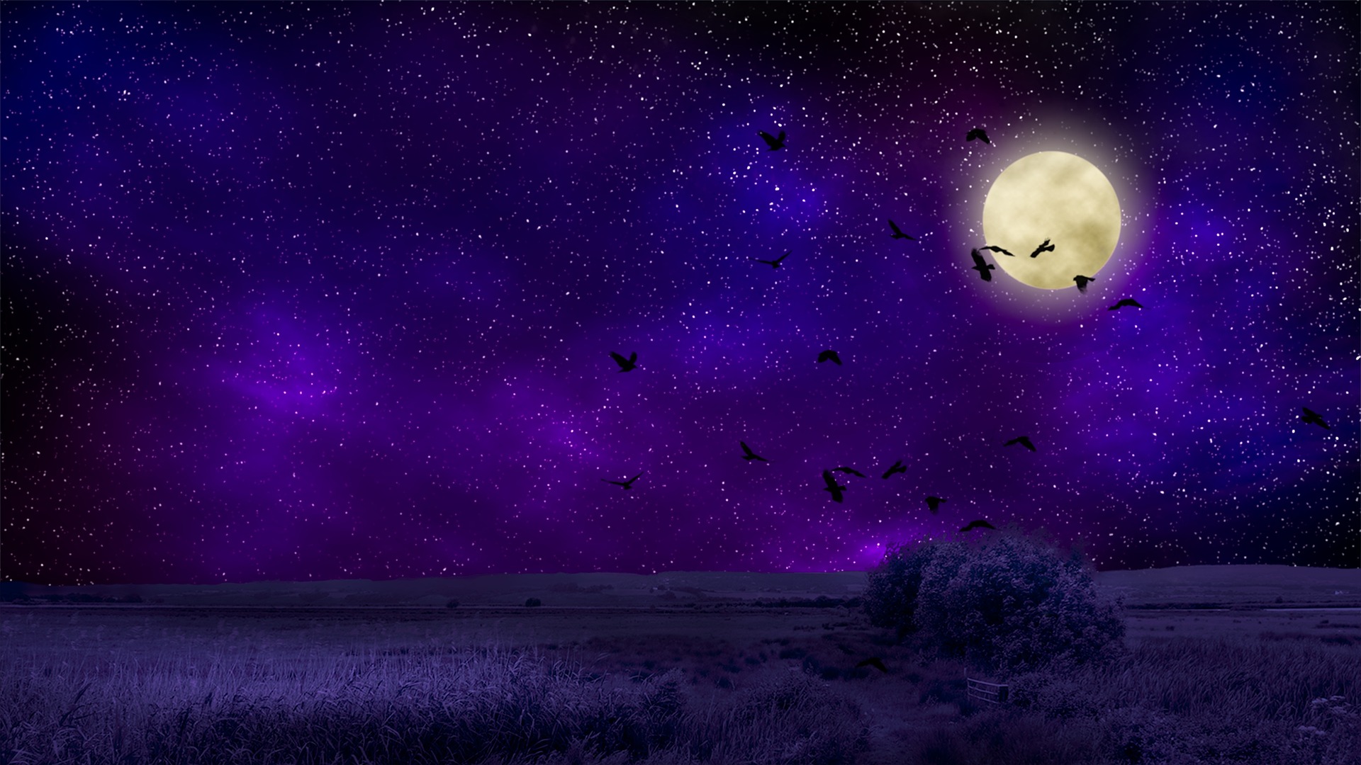 Place card with a purple starry night sky, full moon, and flying bats