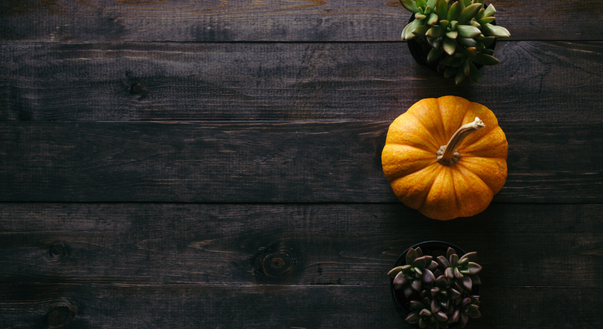 Place card photo of an orange pumpkin and succulents on dark wood