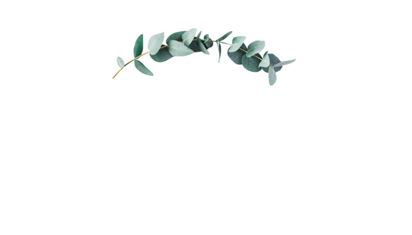 Place card with a sage green eucalyptus sprig across the top center