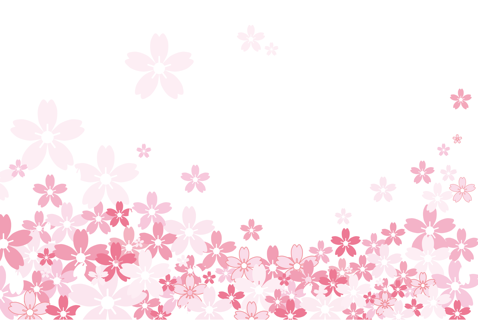 Place card with pink cherry blossoms along the bottom and falling petals