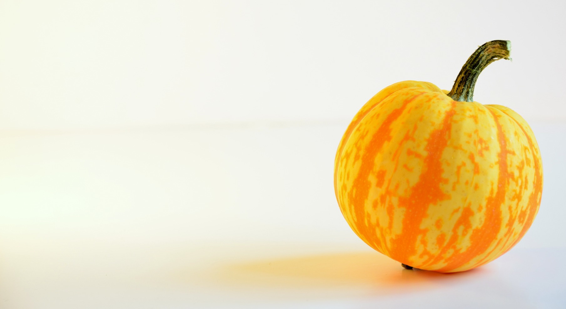 Place card photo of a yellow and orange striped pumpkin on the right