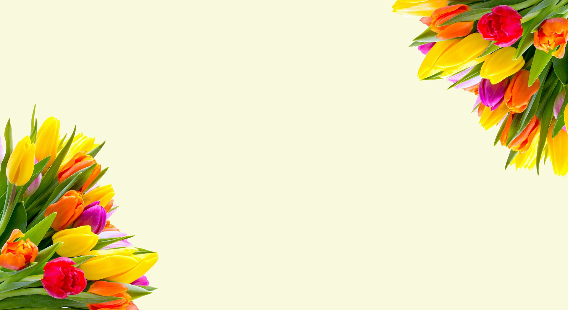 Place card with bright tulip bouquets in opposite corners on a cream background